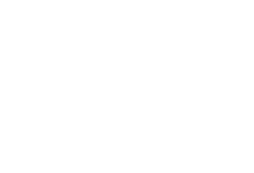 Meeting