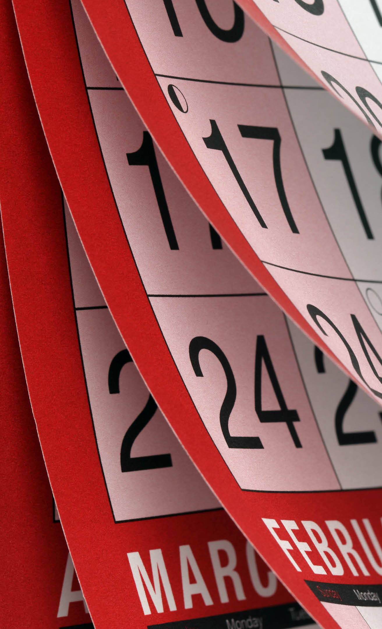 Months and dates shown on a calendar whilst turning the pages