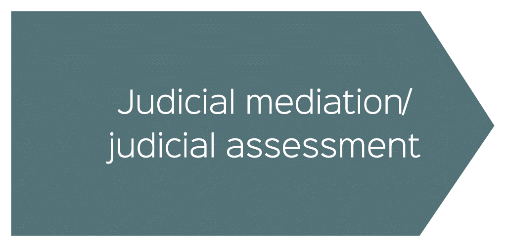 Judicial mediation/ judicial assessment